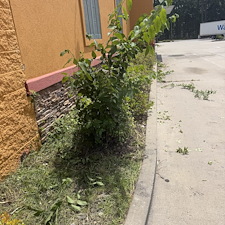 Commercial-Cleanup-Project-in-Conway-SC 13